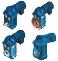 hop-so---hop-giam-toc-49