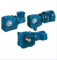 hop-so---hop-giam-toc-48